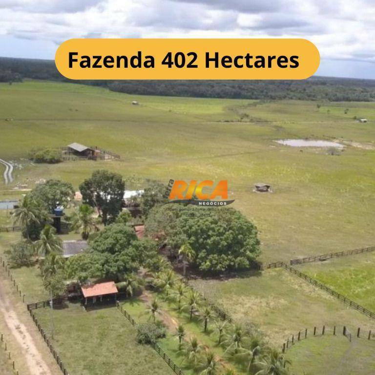 Fazenda-Sítio-Chácara, 402 hectares - Foto 1