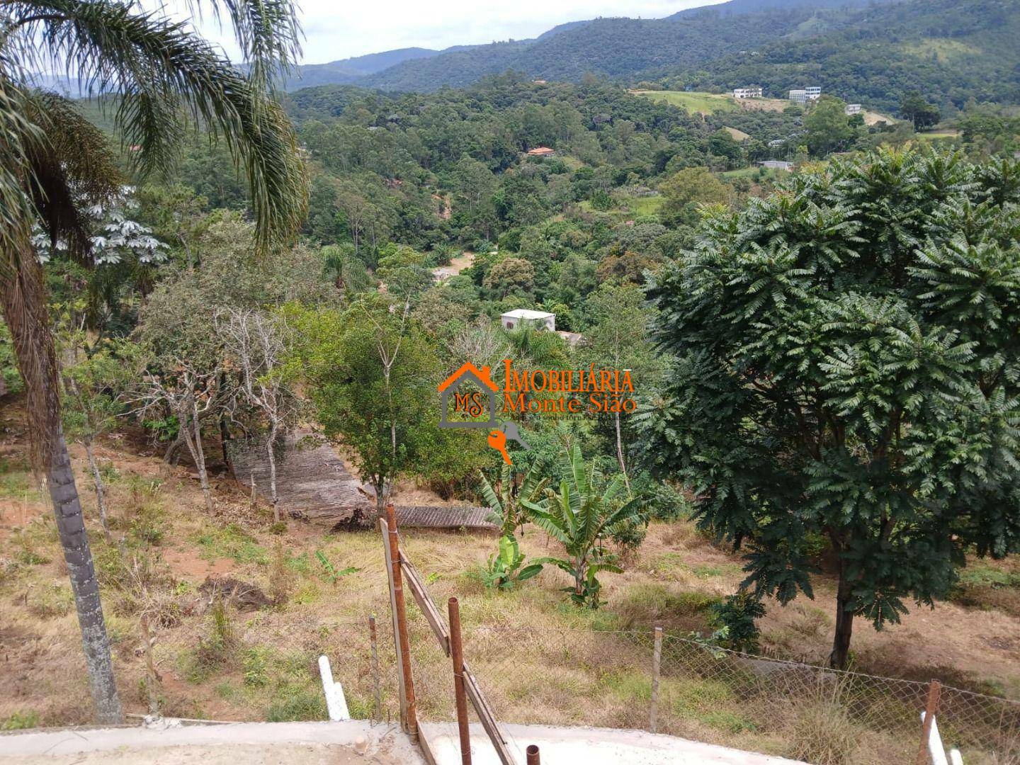 Chácara à venda com 3 quartos, 5000M2 - Foto 22