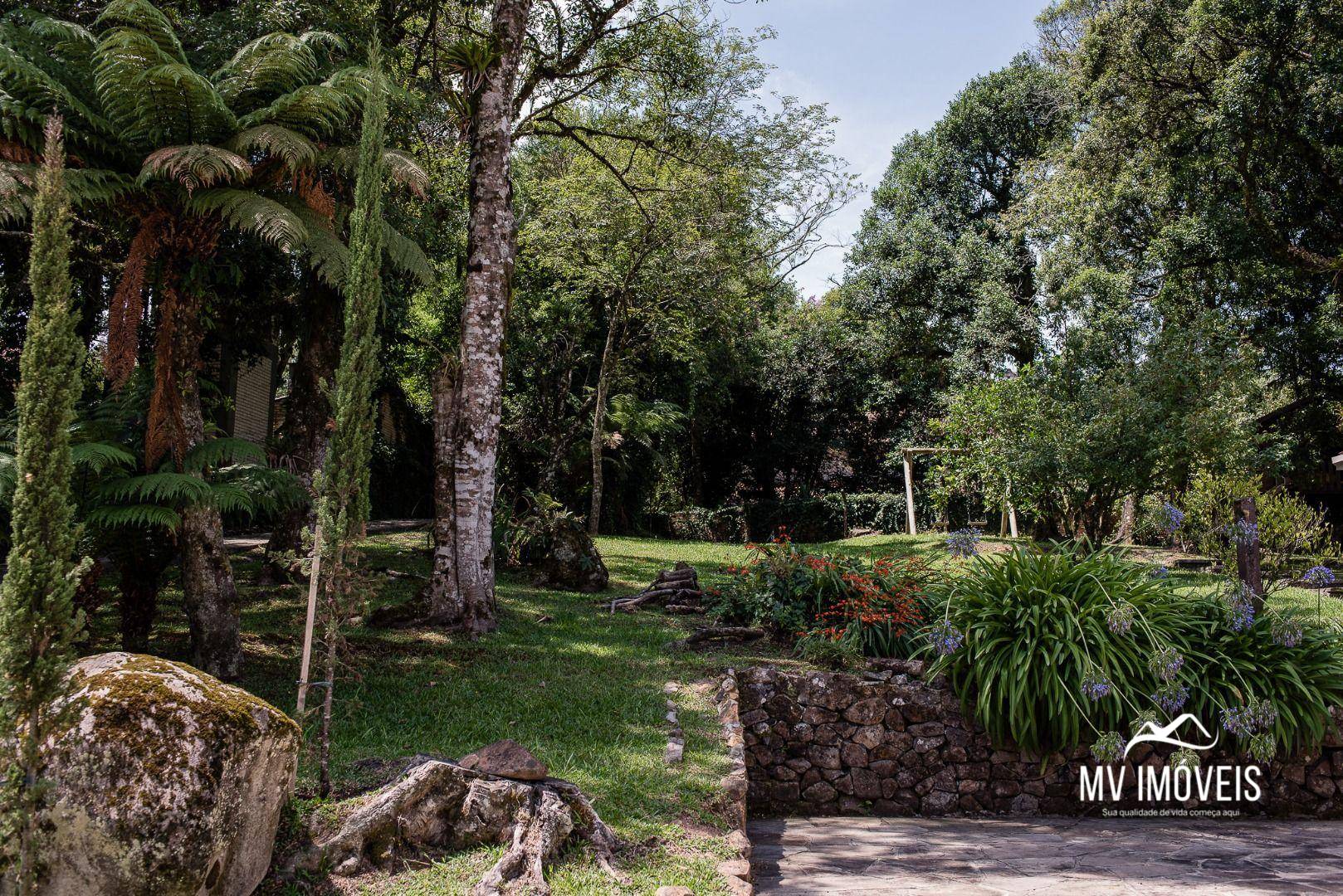 Casa, 5 quartos, 500 m² - Foto 4