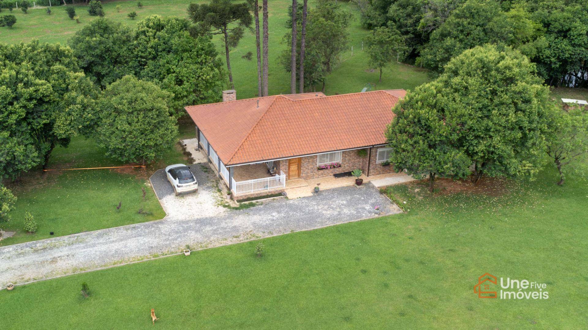 Chácara, 4 quartos, 2 hectares - Foto 3