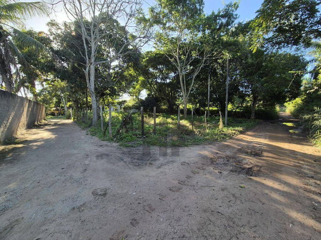 Terreno, 2000 m² - Foto 2