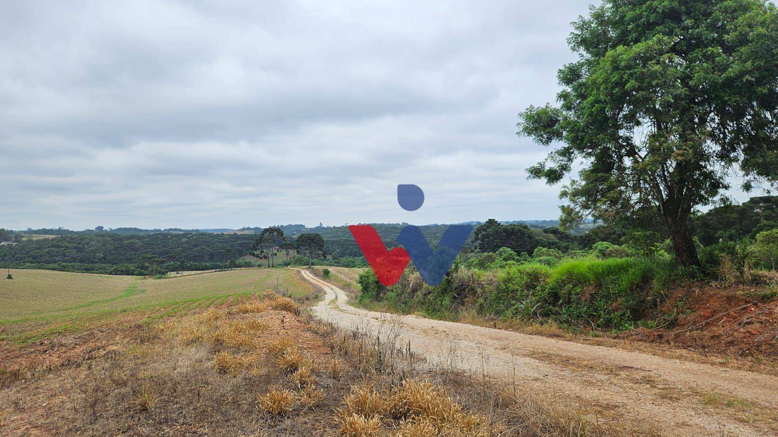 Fazenda à venda com 3 quartos, 1694000M2 - Foto 4