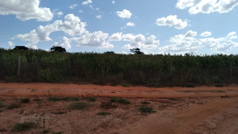 Fazenda, 41 hectares - Foto 1