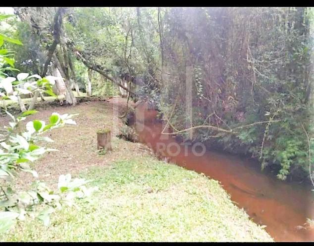 Fazenda à venda com 3 quartos, 5000m² - Foto 13