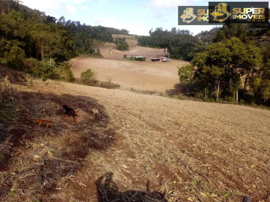 Fazenda à venda com 2 quartos, 450000m² - Foto 11