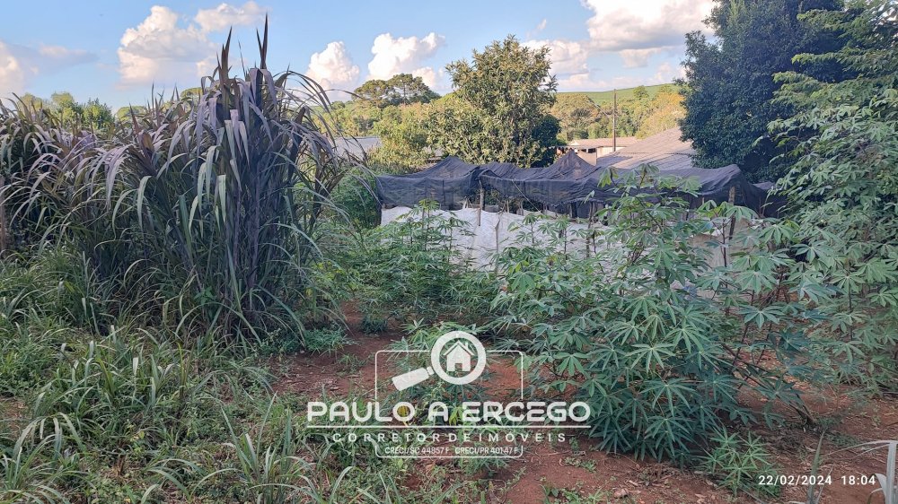 Casa, 2 quartos, 719 m² - Foto 7