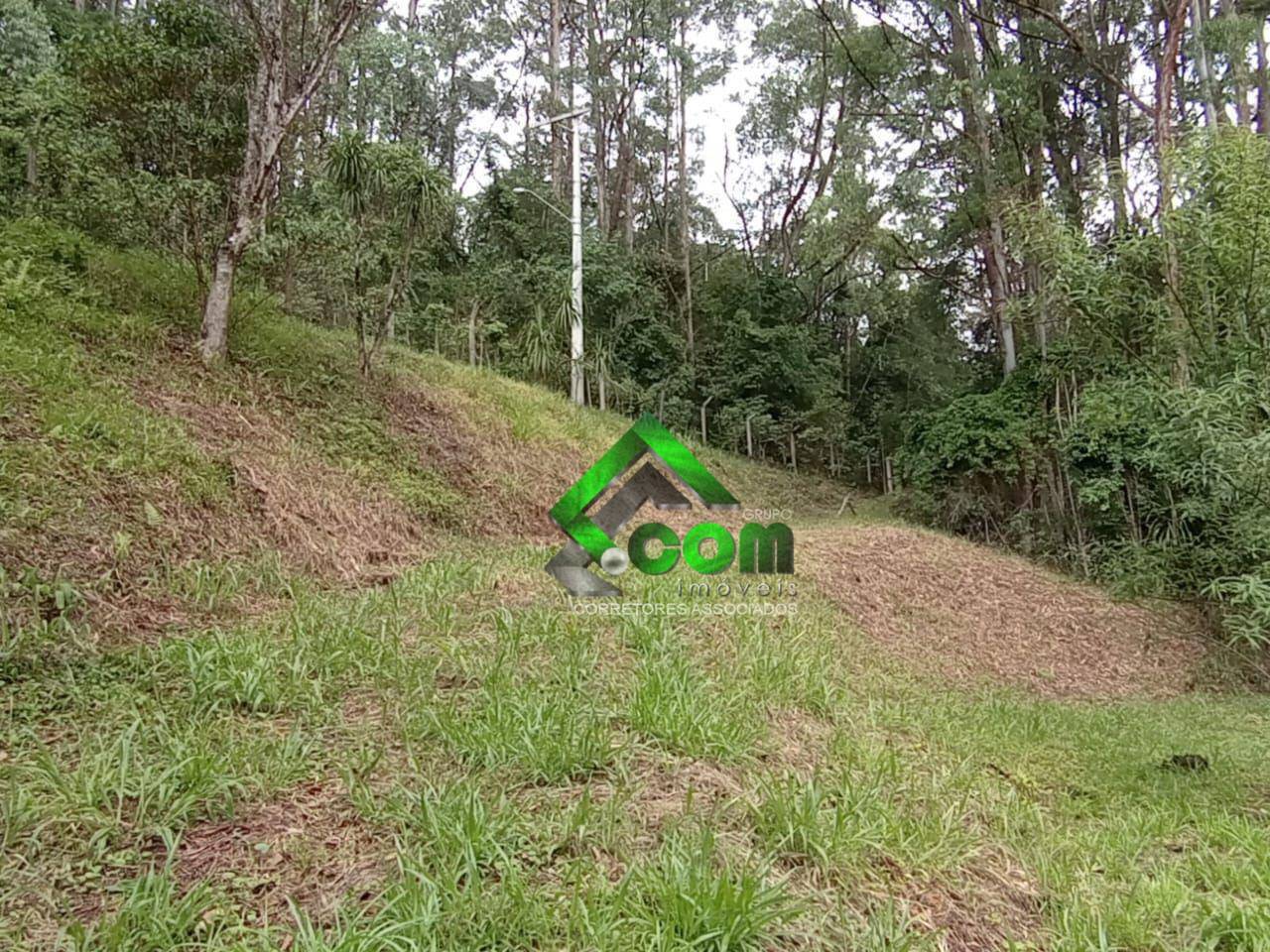 Loteamento e Condomínio, 5800 m² - Foto 3