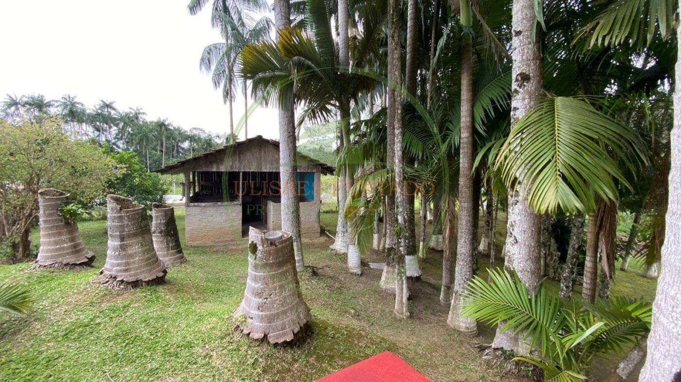 Chácara, 4300 m² - Foto 6