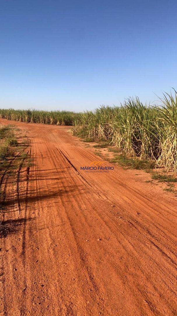 Fazenda, 893 hectares - Foto 1