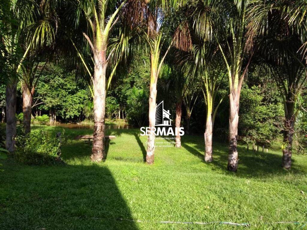 Sítio, 2 quartos, 73 hectares - Foto 4