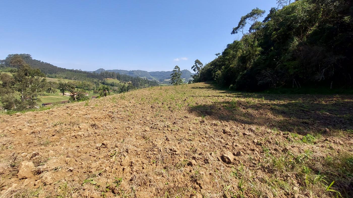 Fazenda à venda com 4 quartos, 101500m² - Foto 29