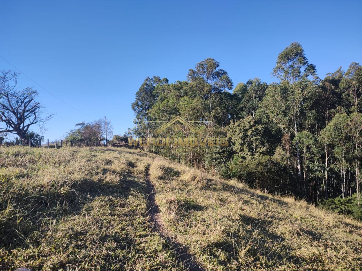 Terreno à venda, 20000m² - Foto 3