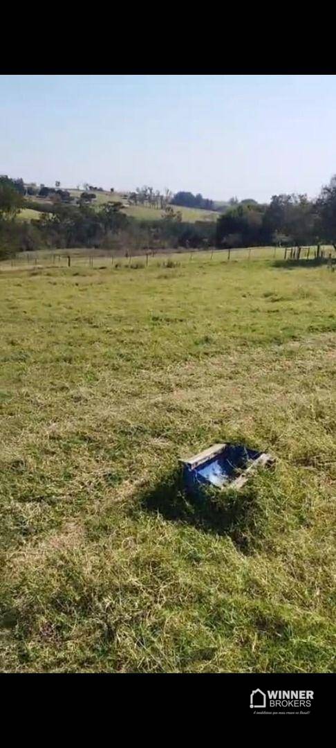 Terreno, 2 hectares - Foto 2