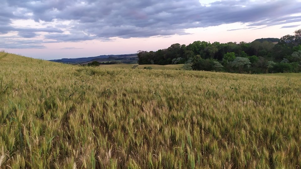 Fazenda à venda, 49m² - Foto 35