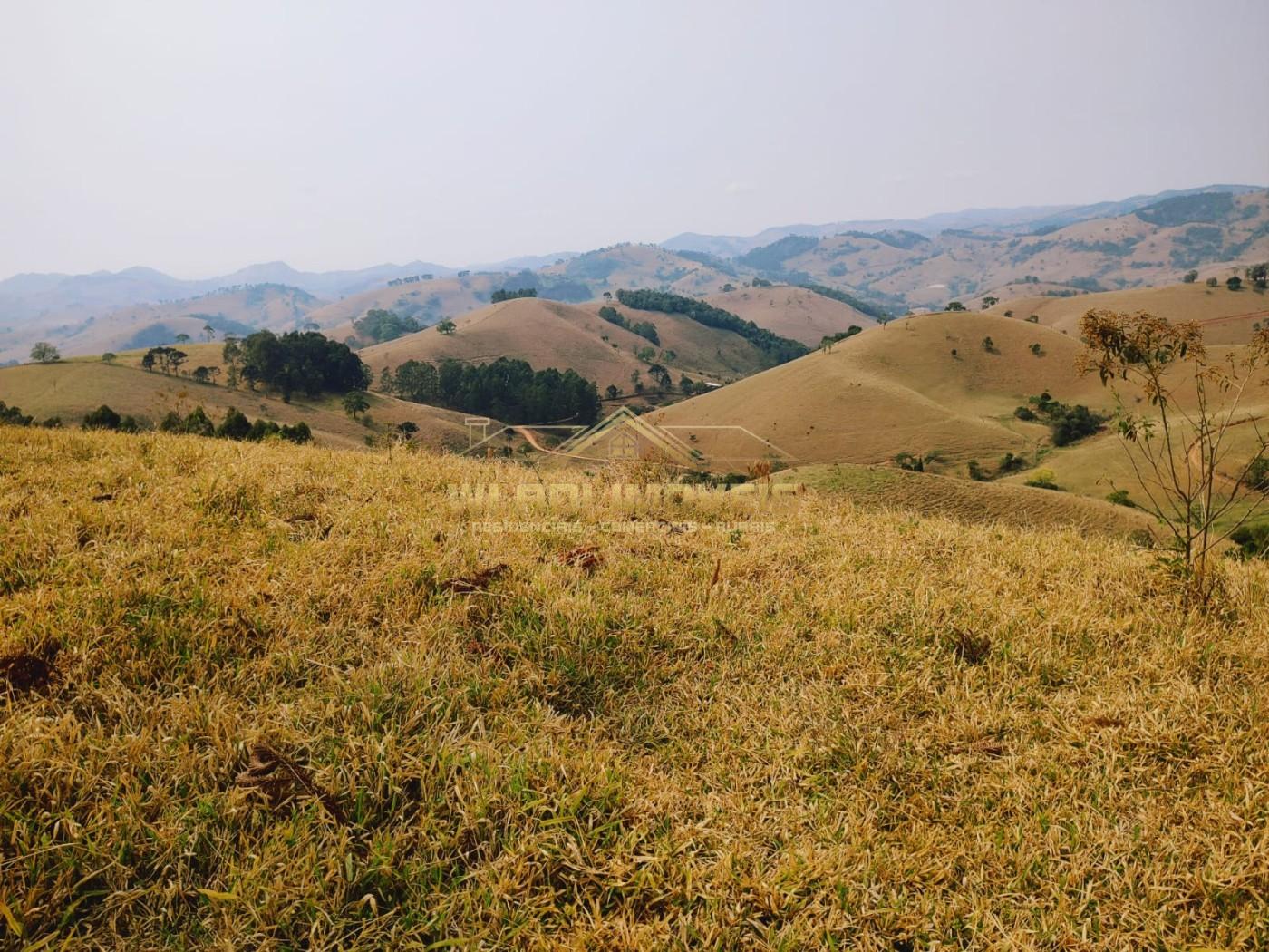 Terreno à venda, 20000m² - Foto 15