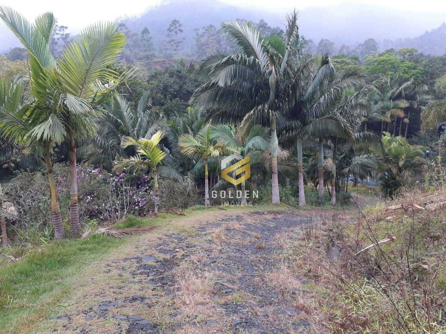 Sítio à venda, 75000M2 - Foto 10