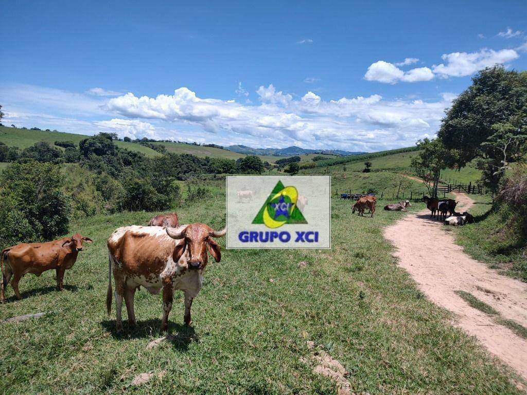 Fazenda à venda, 1060000M2 - Foto 6