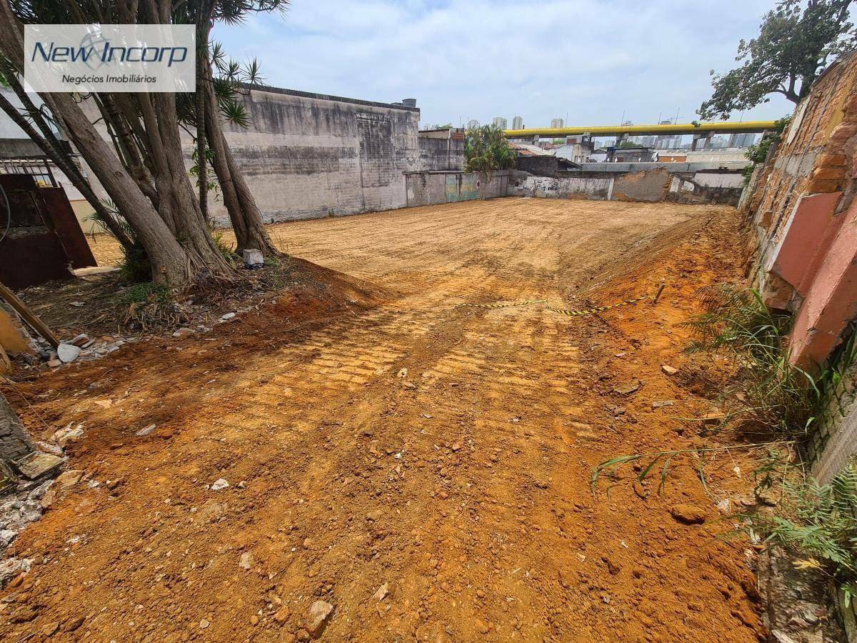 Terreno para alugar, 1080M2 - Foto 1