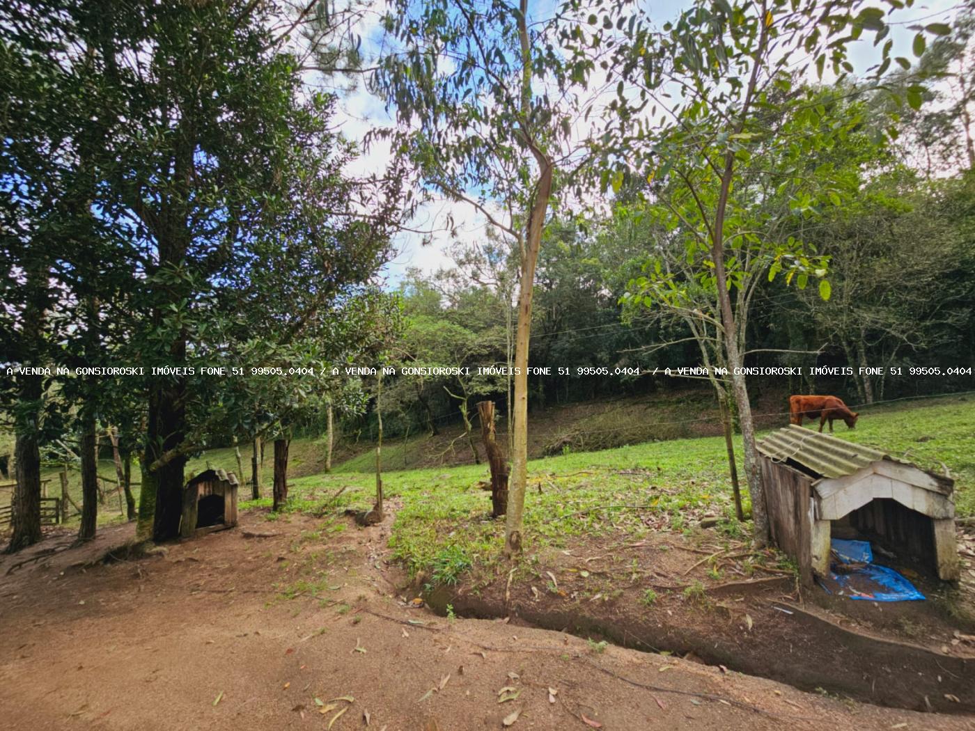 Sítio à venda, 30000m² - Foto 23