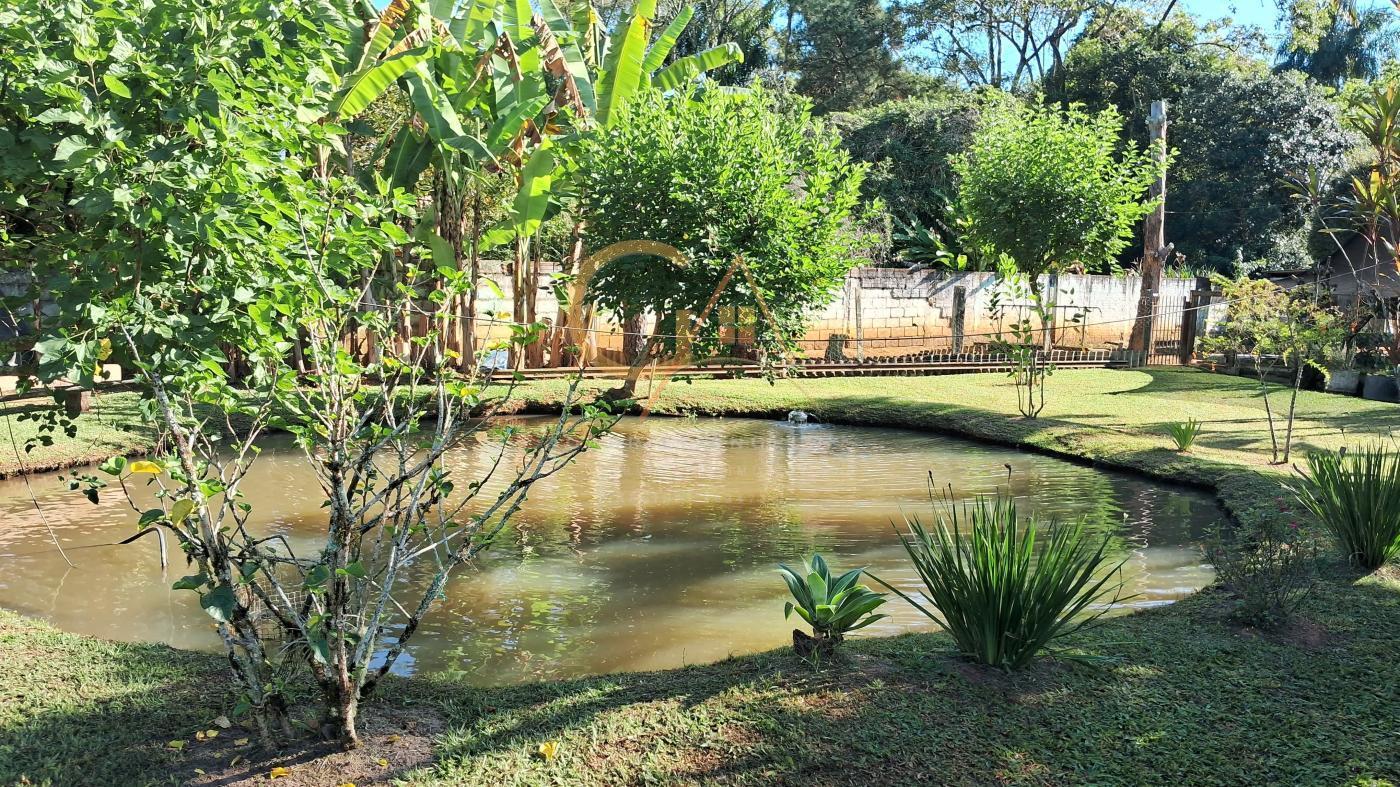 Fazenda à venda com 3 quartos, 4300m² - Foto 10