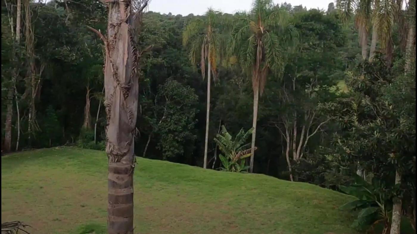 Chácara à venda com 4 quartos, 5220m² - Foto 38