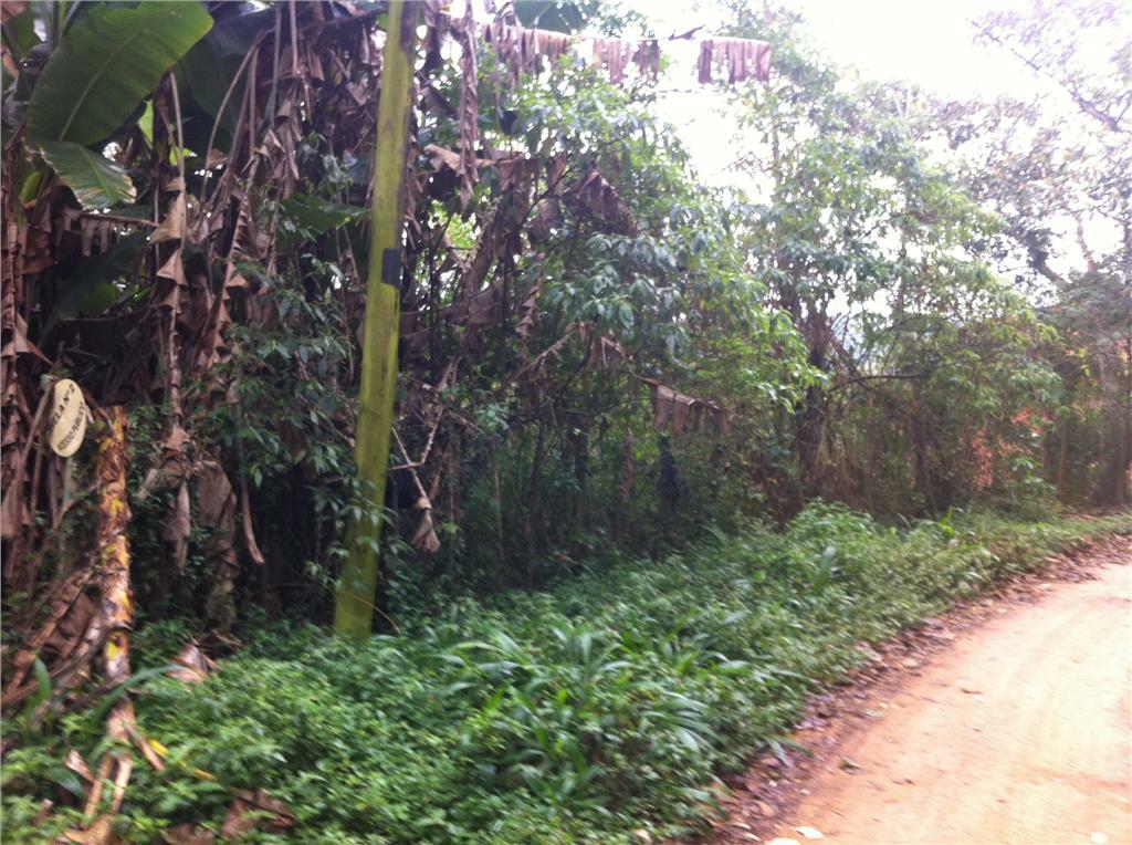 Loteamento e Condomínio à venda, 2000M2 - Foto 4