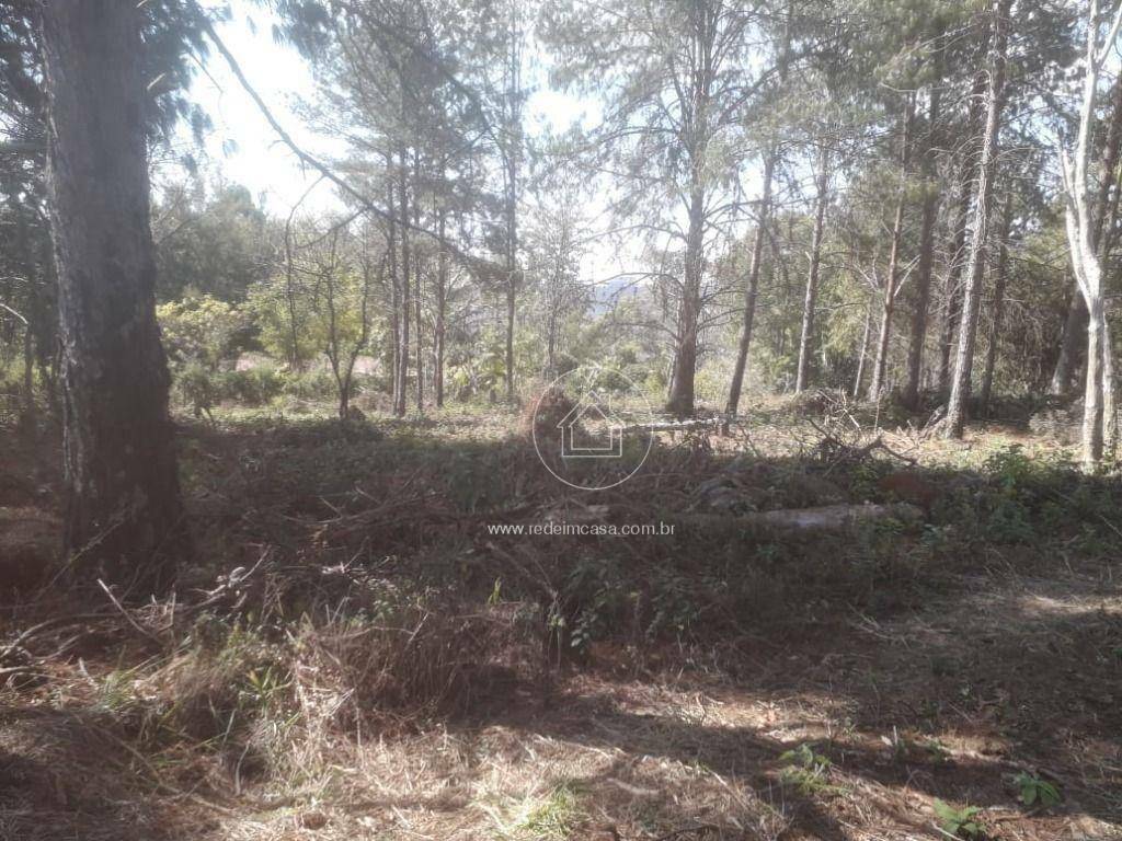 Loteamento e Condomínio à venda, 15070M2 - Foto 19