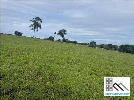 Fazenda à venda com 3 quartos, 220m² - Foto 14