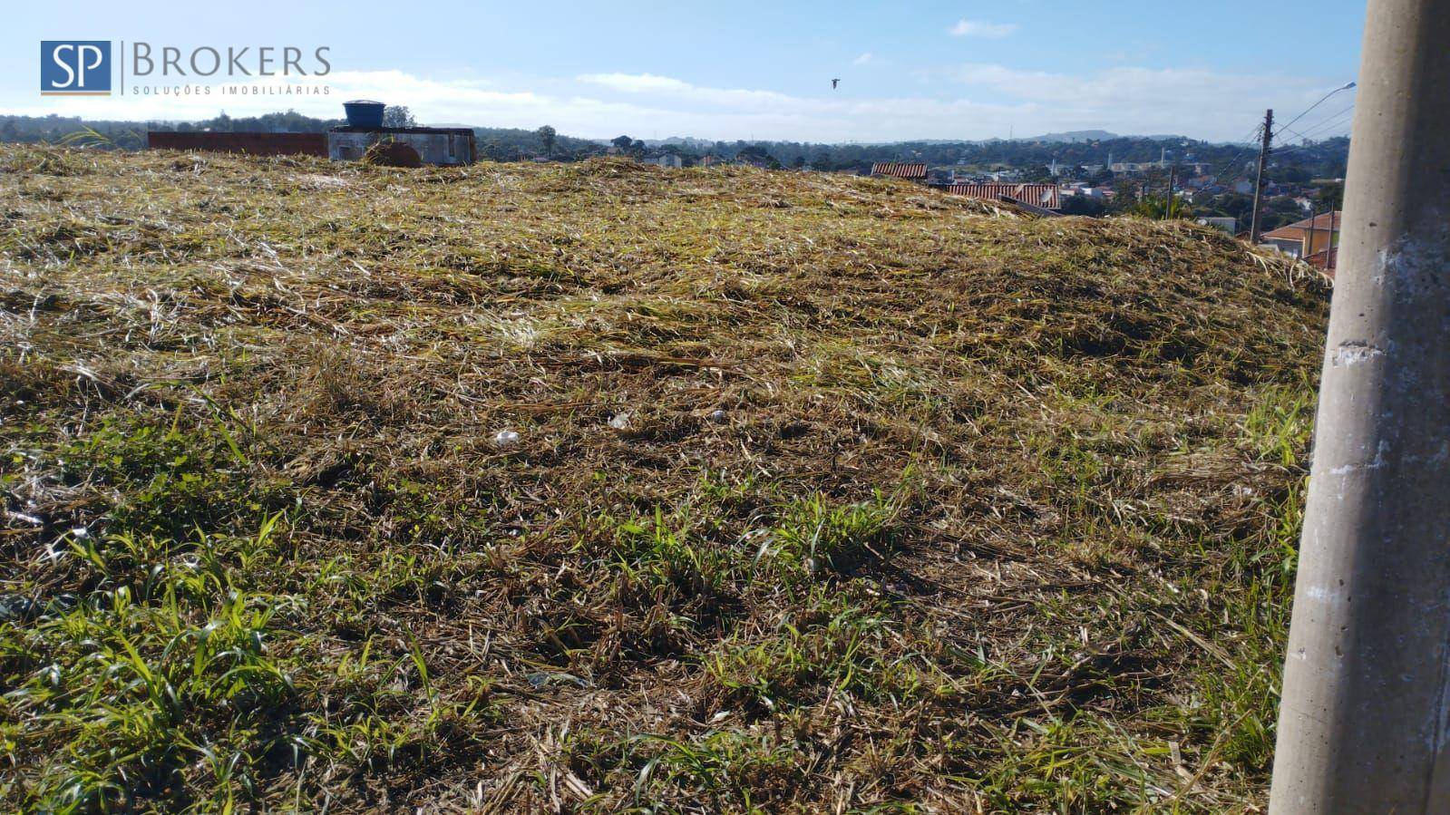 Terreno, 302 m² - Foto 2