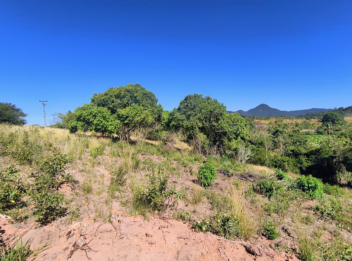 Terreno à venda, 7614m² - Foto 3