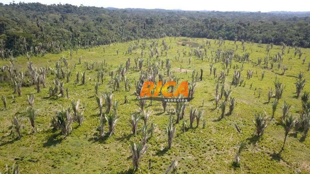 Fazenda-Sítio-Chácara, 1210 hectares - Foto 3