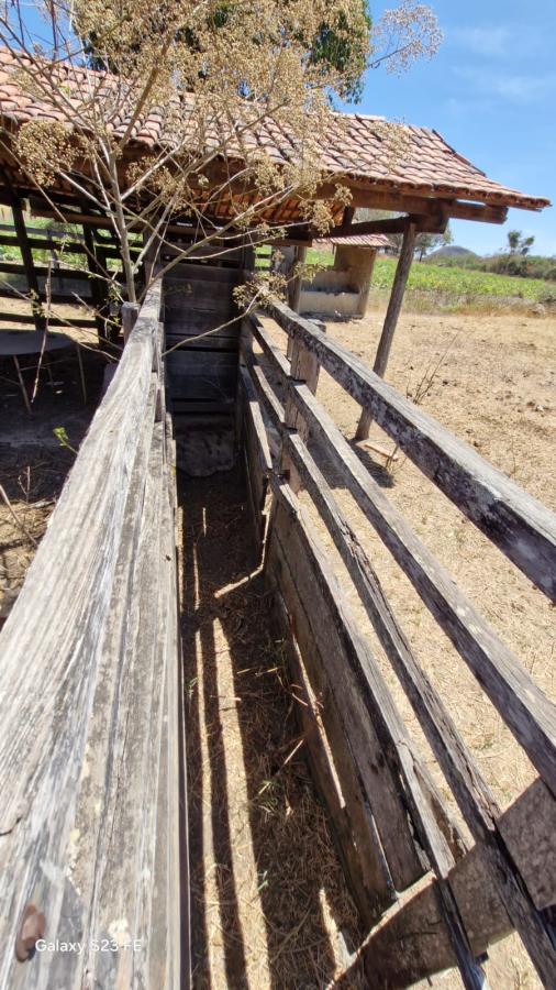 Fazenda à venda com 4 quartos, 1180000m² - Foto 5