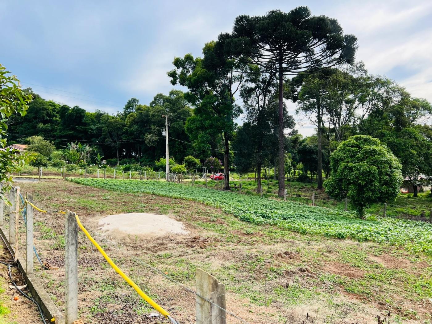 Chácara à venda, 28000m² - Foto 63