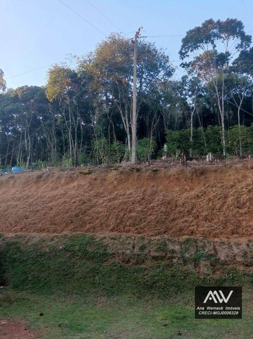 Chácara à venda com 5 quartos, 7500M2 - Foto 3