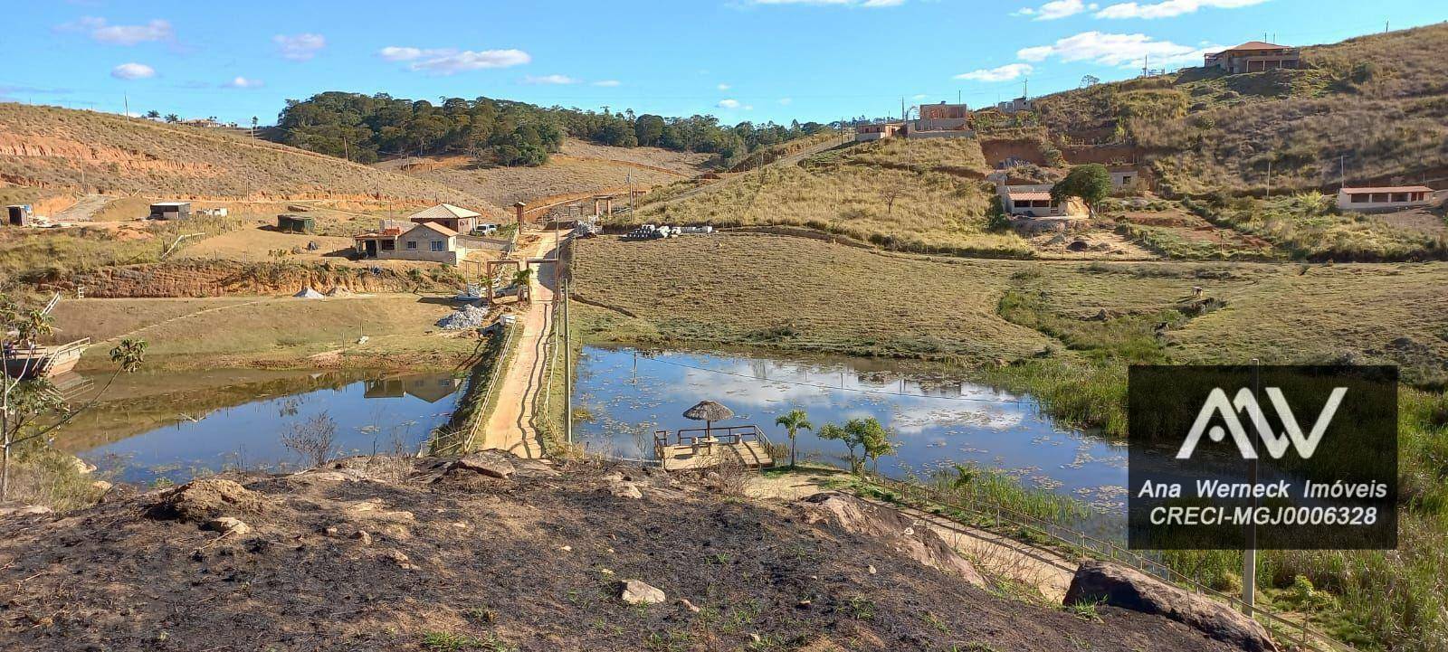 Chácara à venda com 2 quartos, 1000M2 - Foto 4