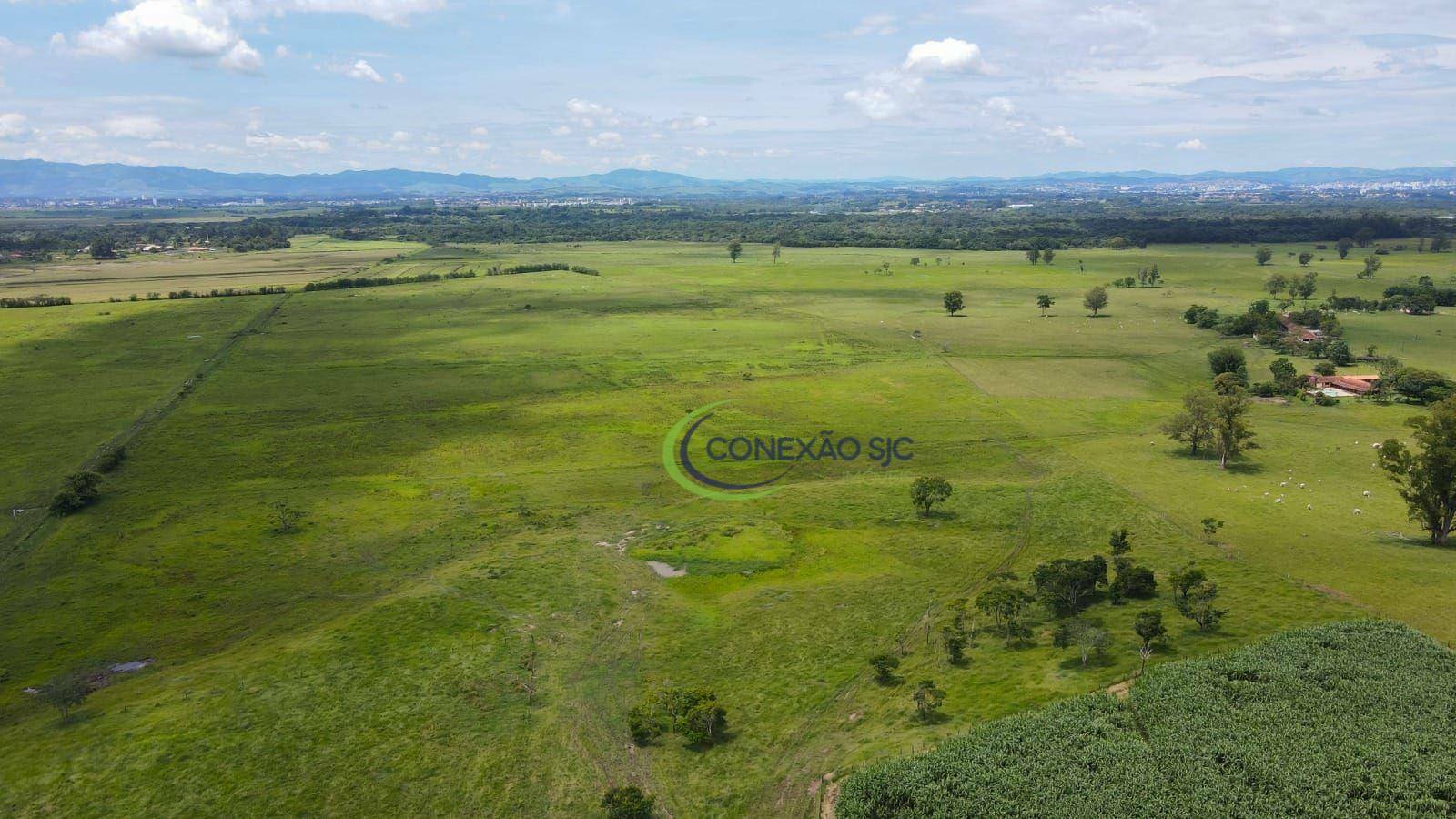 Fazenda à venda com 7 quartos, 968000M2 - Foto 13