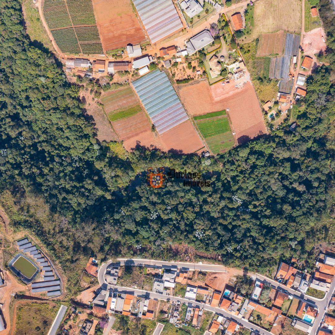 Terreno à venda, 80798M2 - Foto 4