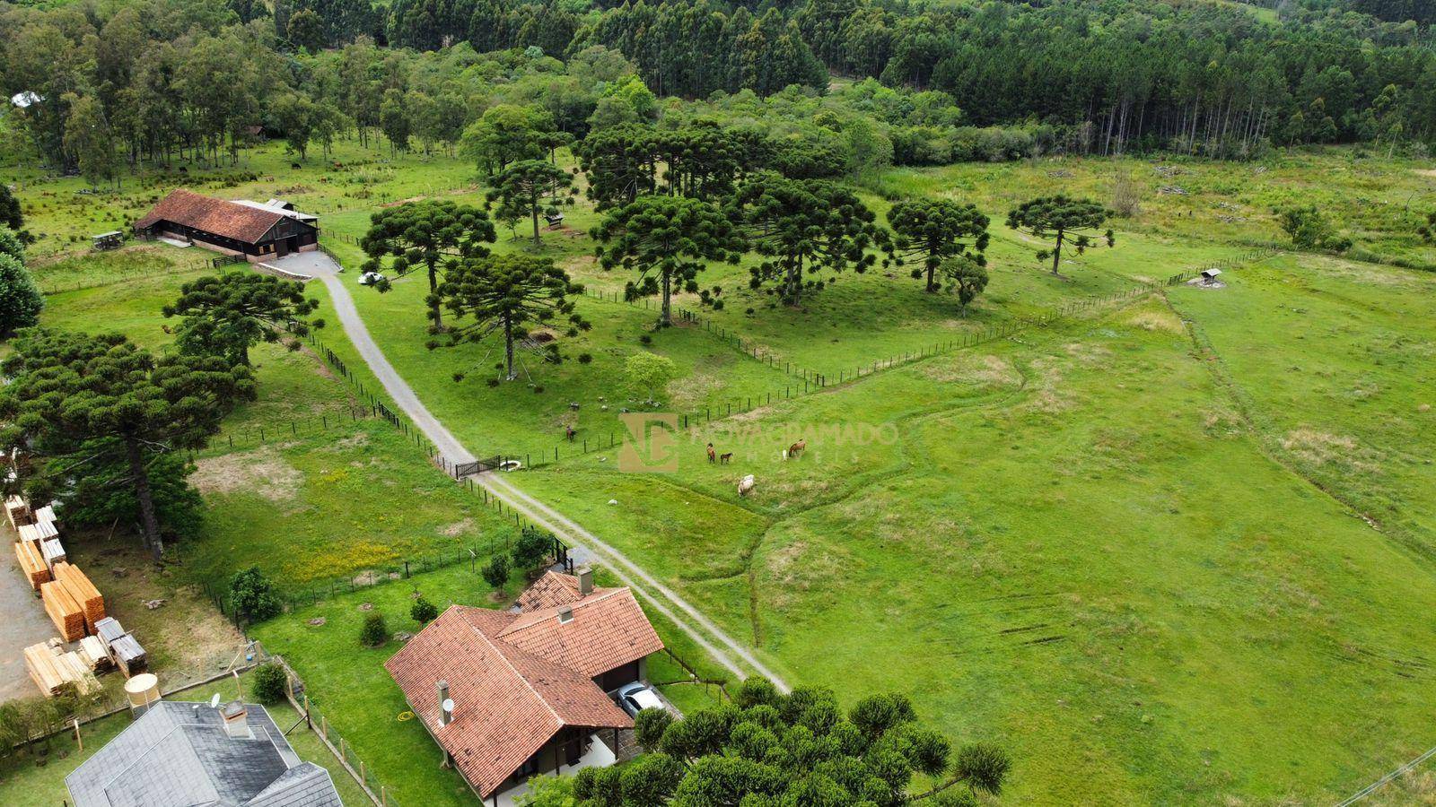 Sítio, 3 quartos, 4 hectares - Foto 3