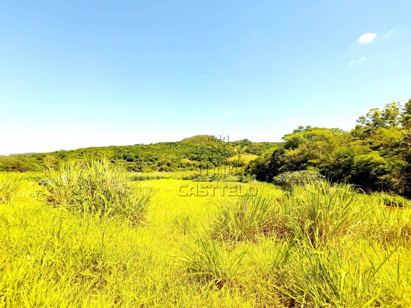 Chácara, 2 hectares - Foto 6