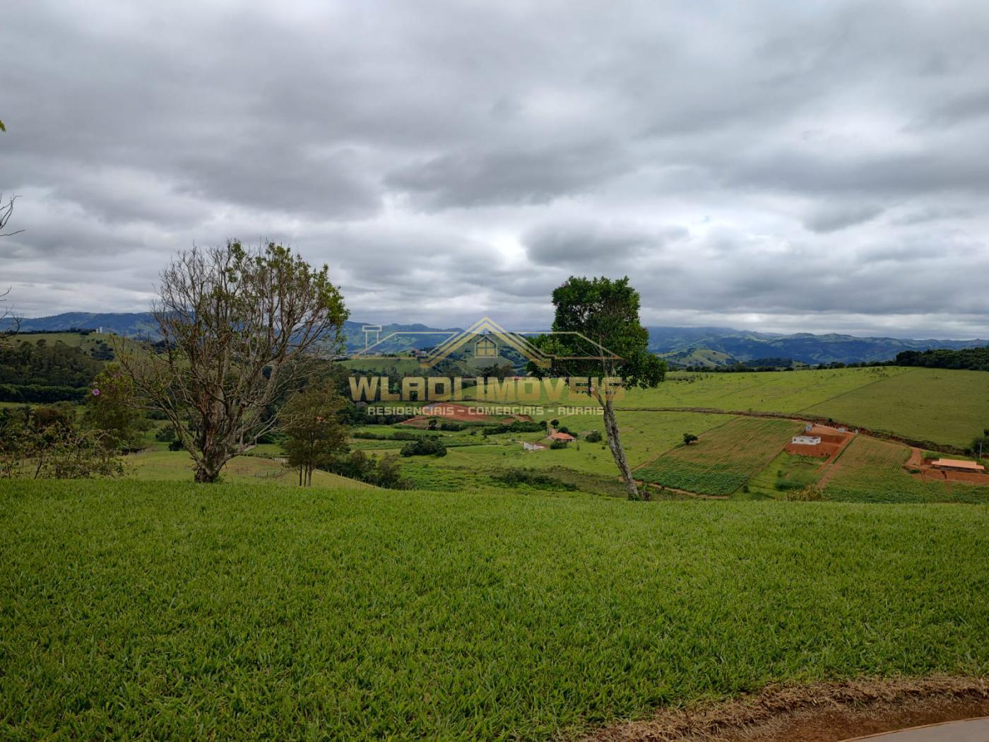 Fazenda à venda com 3 quartos, 52000m² - Foto 6