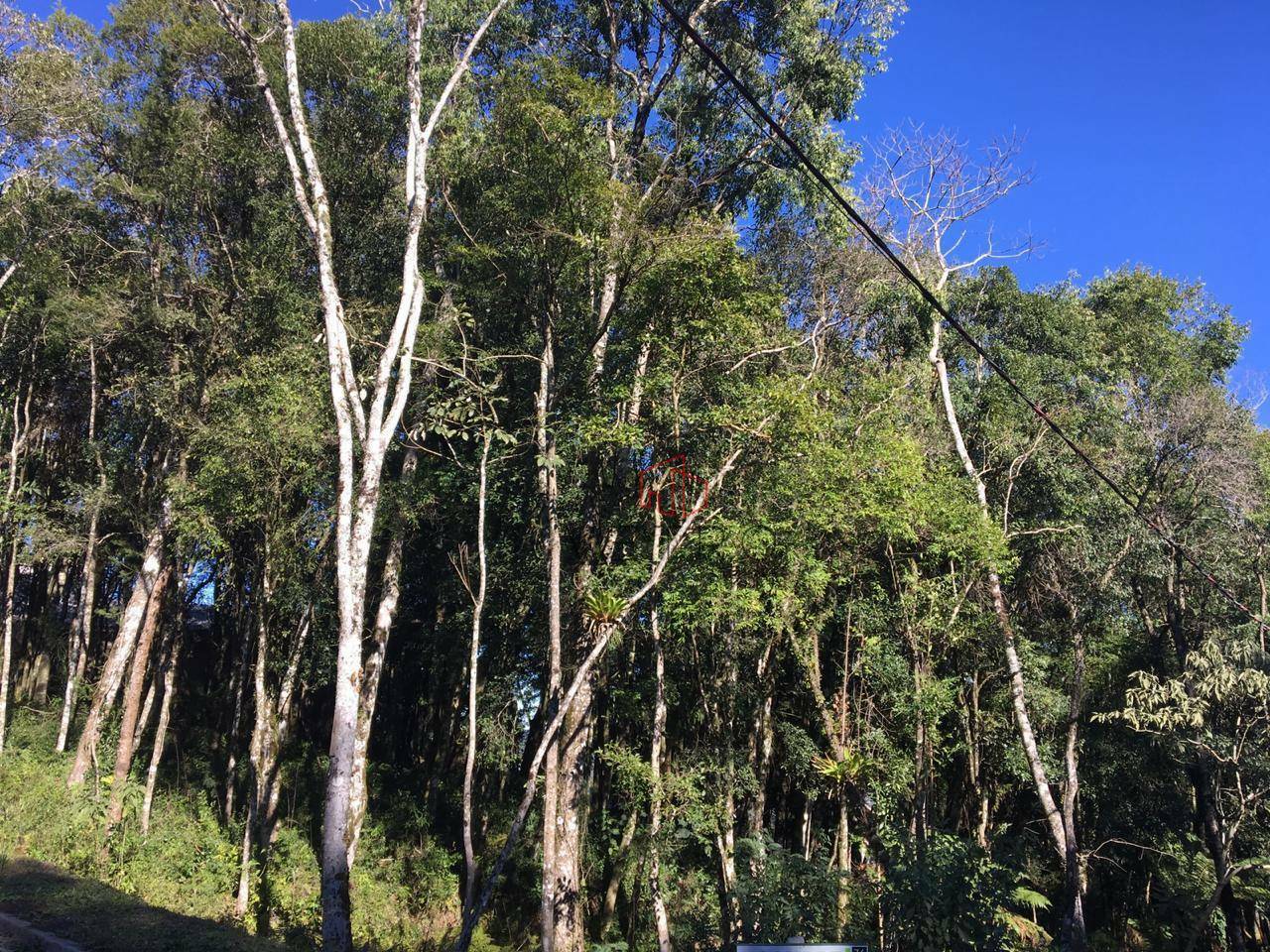 Loteamento e Condomínio à venda, 805M2 - Foto 4