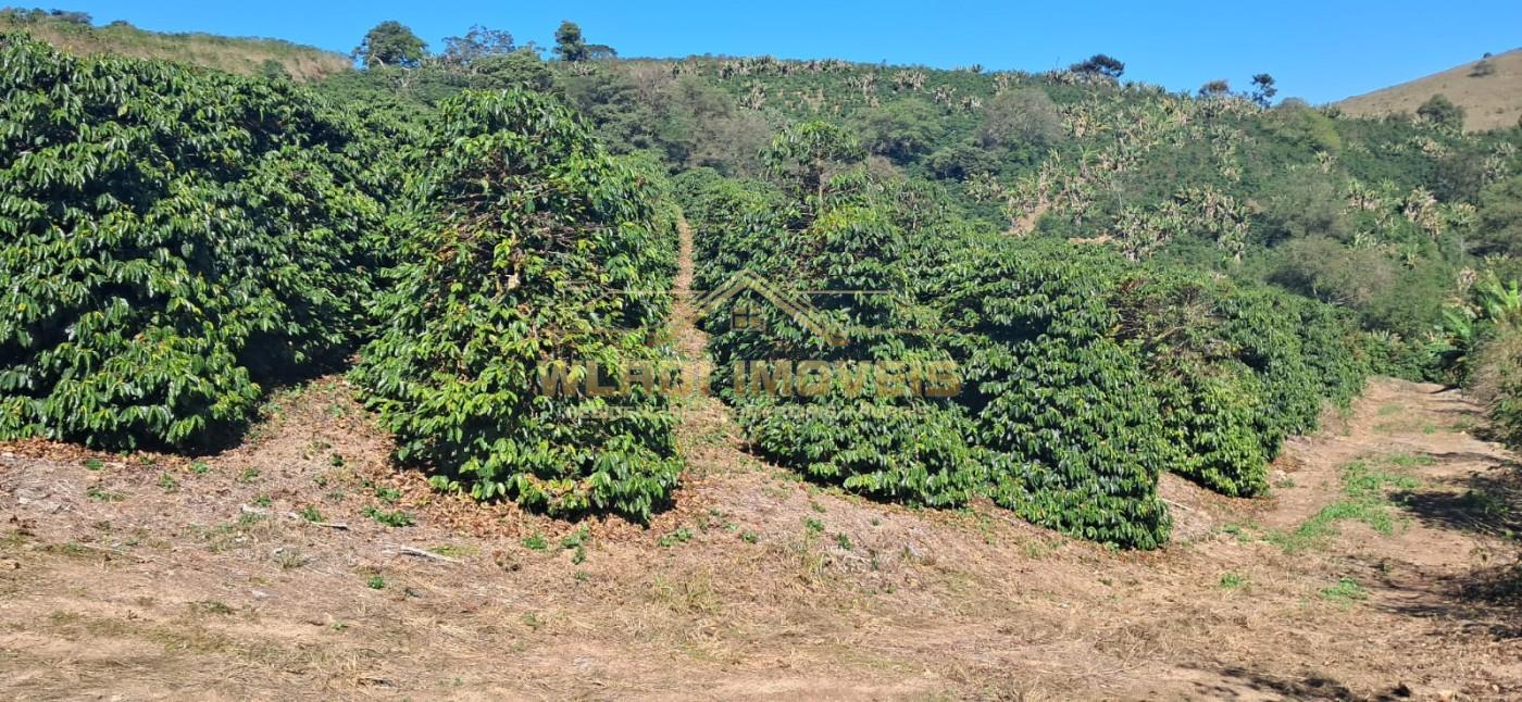 Fazenda-Sítio-Chácara, 32 m² - Foto 5