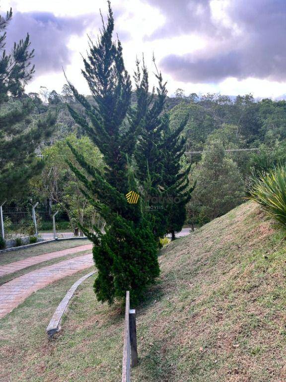 Chácara, 3 quartos, 1573 m² - Foto 2