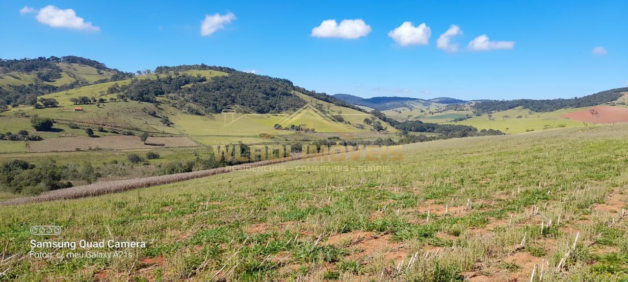 Fazenda à venda, 4m² - Foto 3