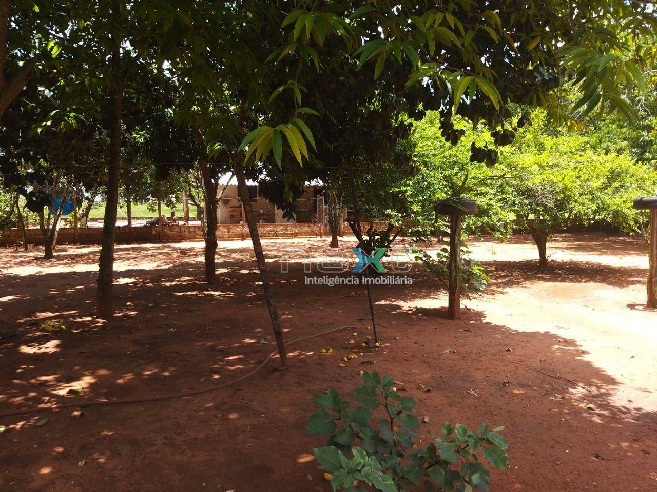 Fazenda à venda com 4 quartos, 430000M2 - Foto 19