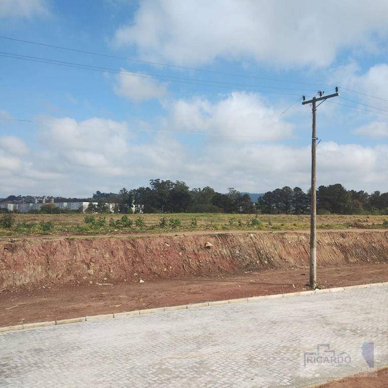 Terreno, 2 hectares - Foto 1