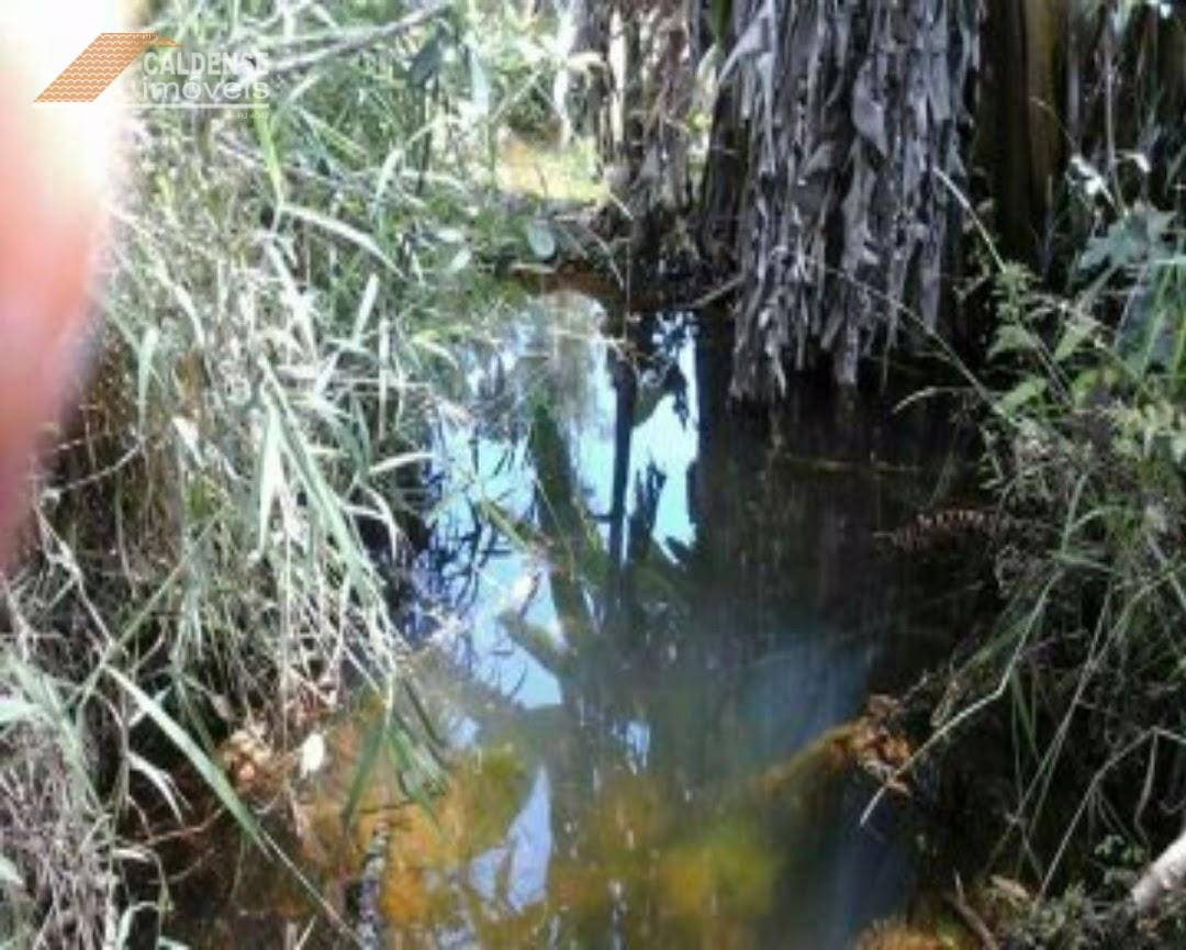 Terreno, 7000 m² - Foto 2