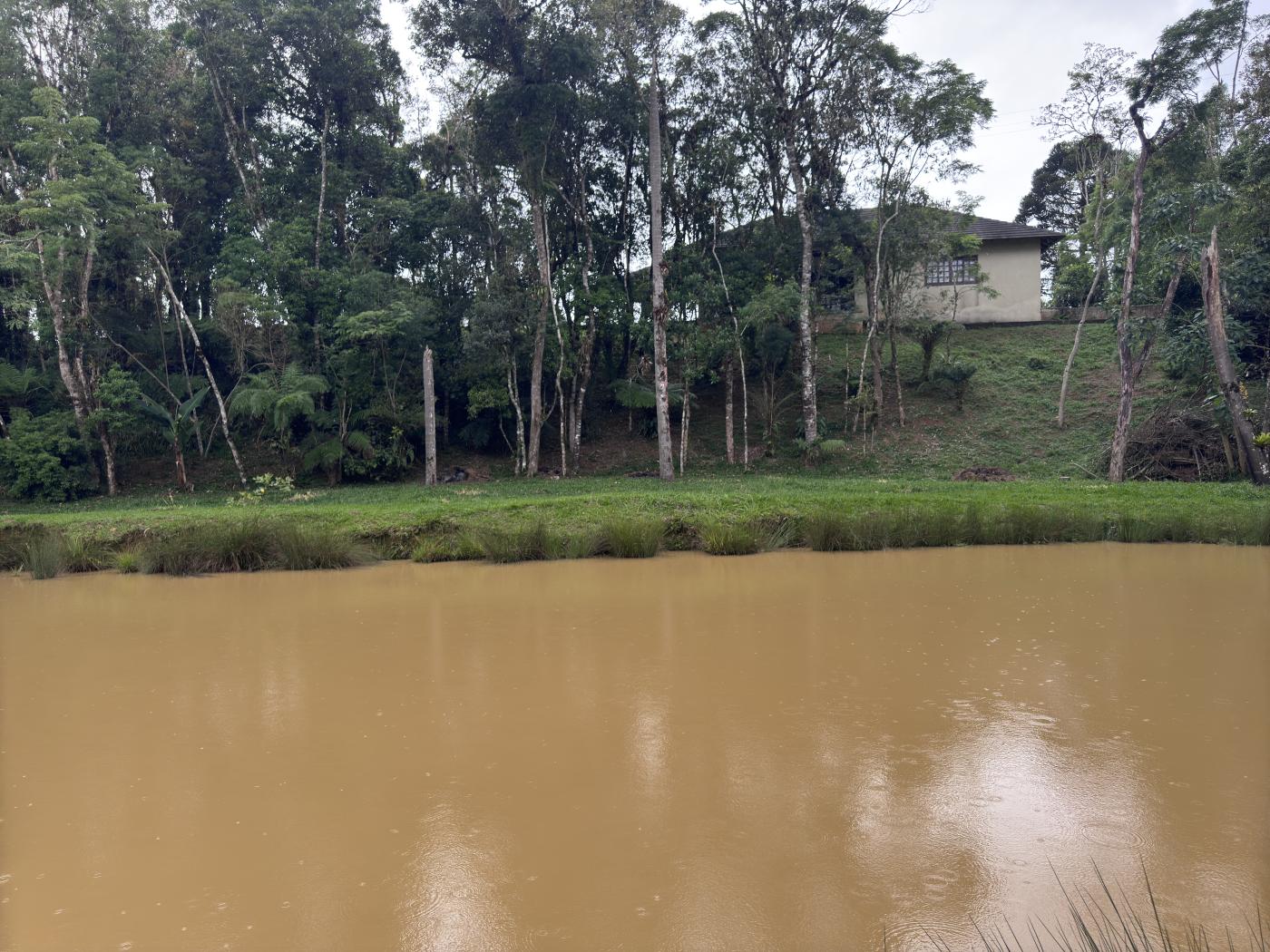 Chácara à venda com 4 quartos, 15000m² - Foto 2