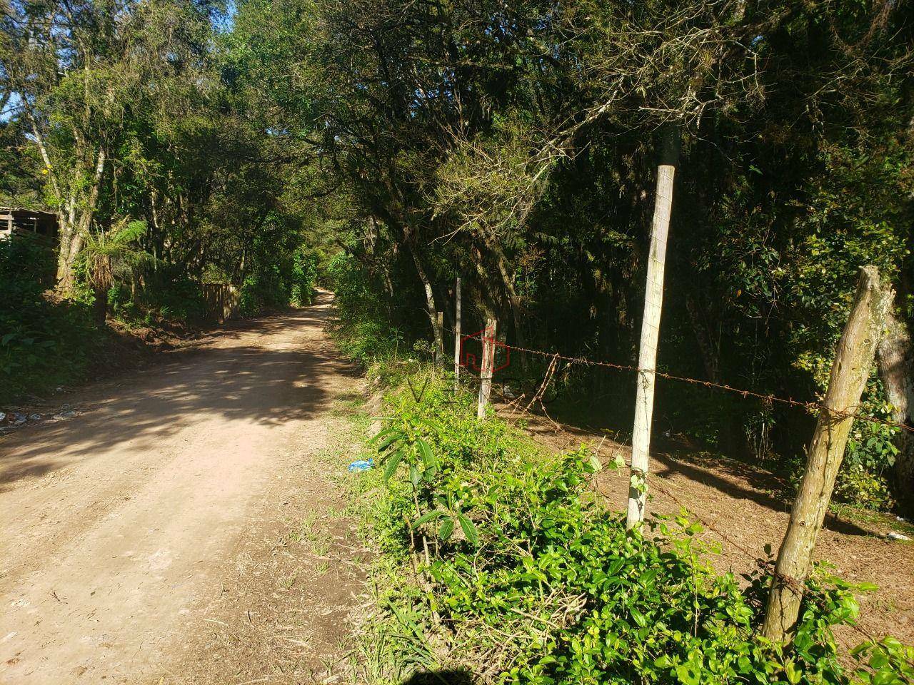 Terreno à venda, 59000M2 - Foto 2