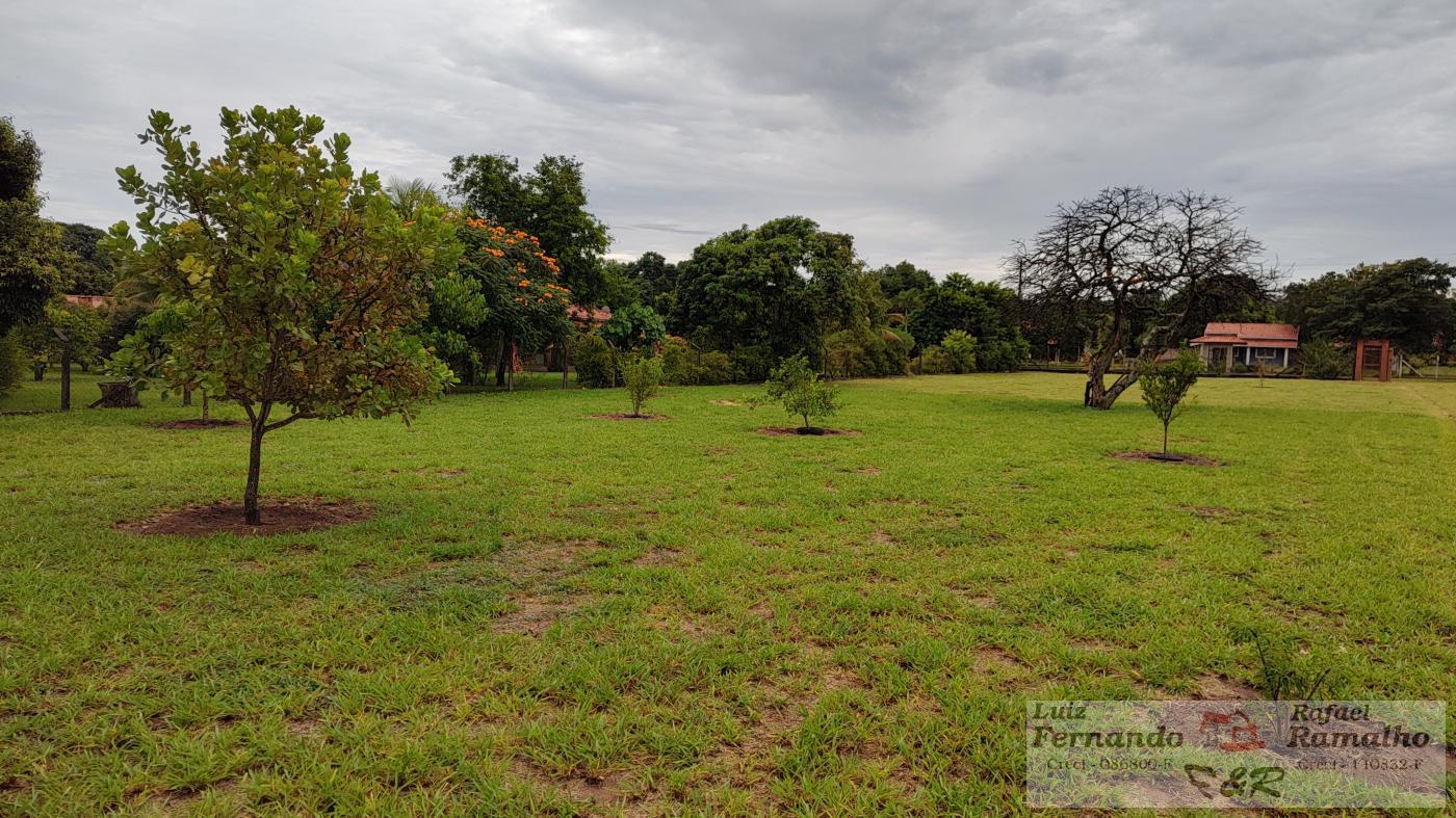 Fazenda à venda com 2 quartos, 5000m² - Foto 10